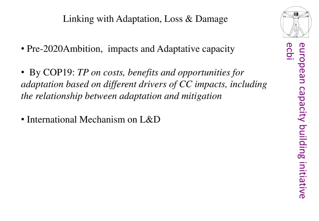 linking with adaptation loss damage