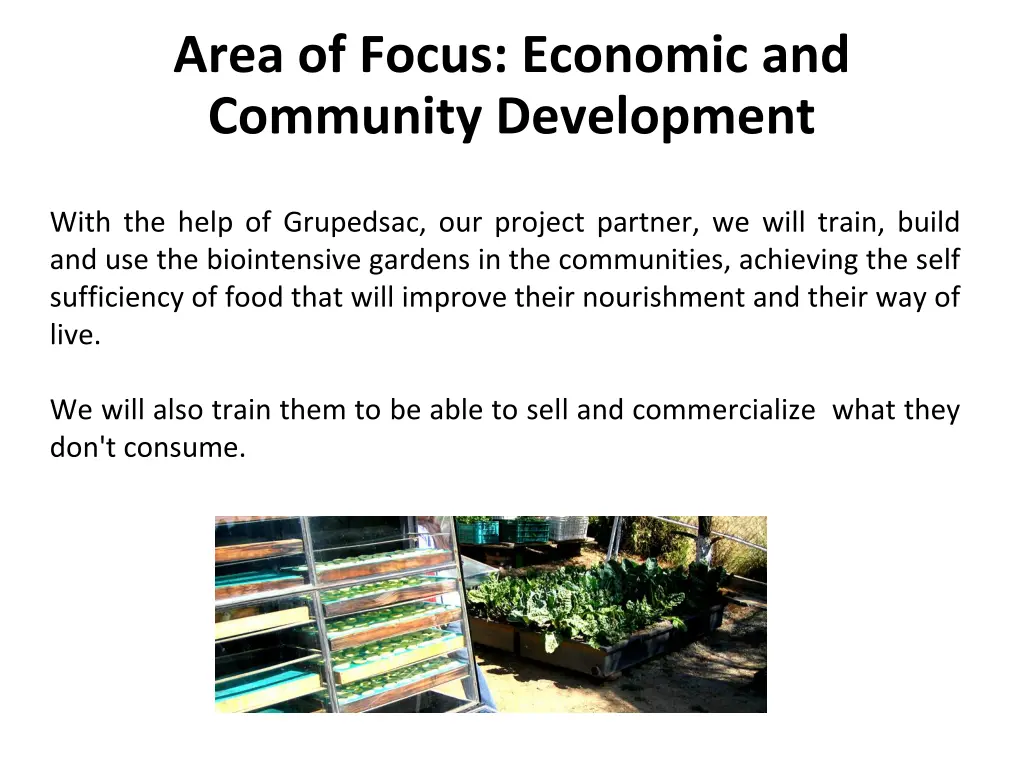 area of focus economic and community development