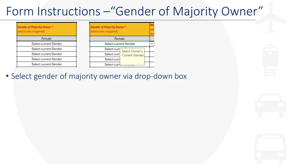 form instructions gender of majority owner