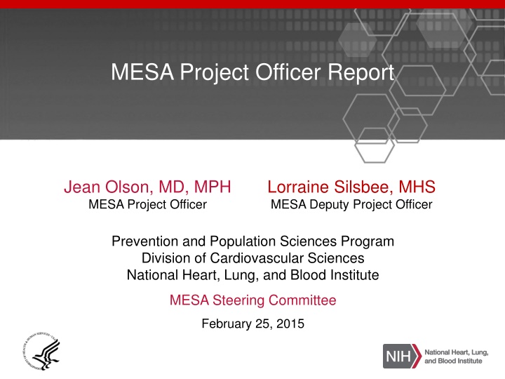 mesa project officer report