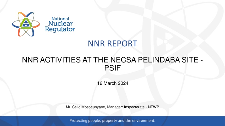 nnr report