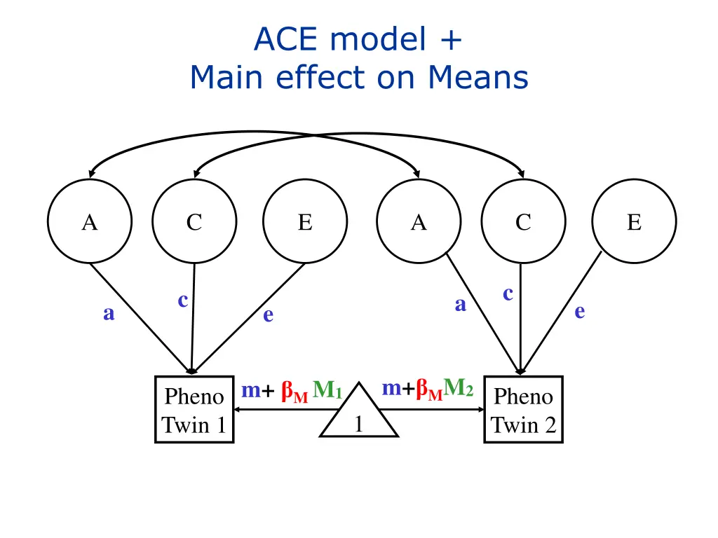 ace model main effect on means