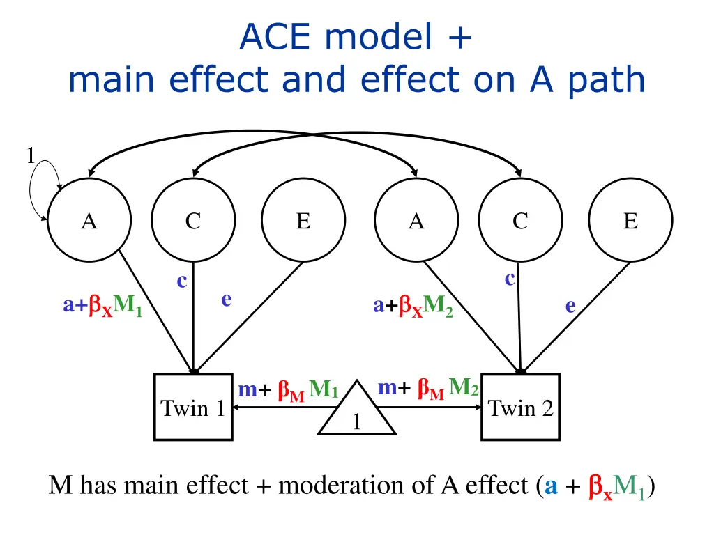 ace model