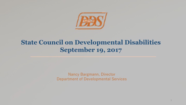 state council on developmental disabilities