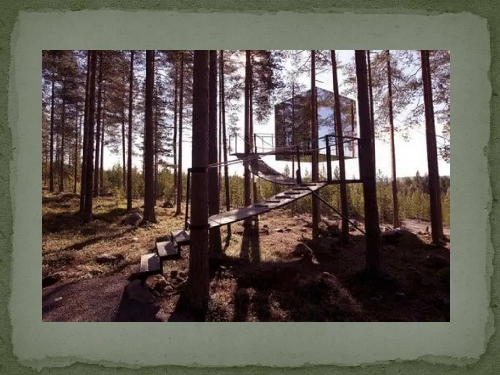 slide7