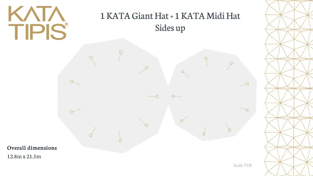1 kata giant hat 1 kata midi hat sides up 1
