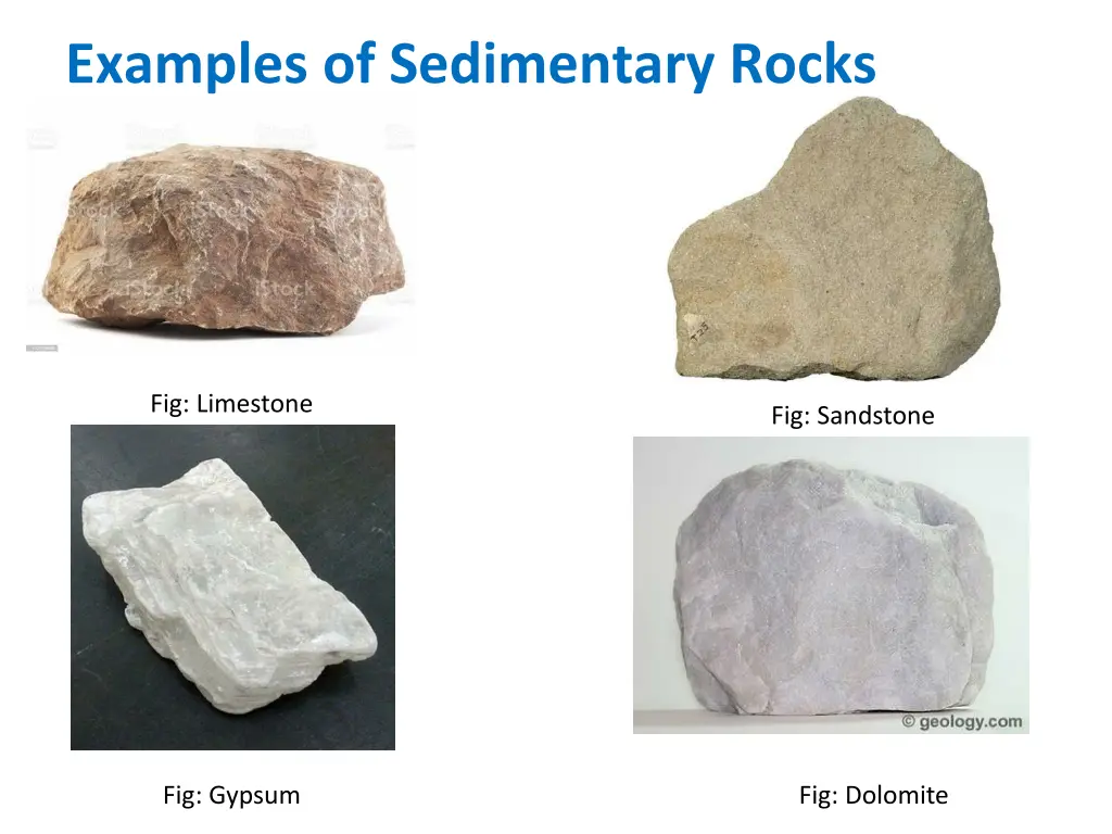 examples of sedimentary rocks