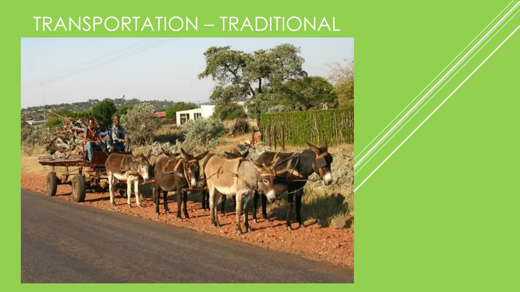 transportation traditional