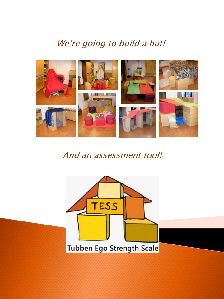 and an assessment tool