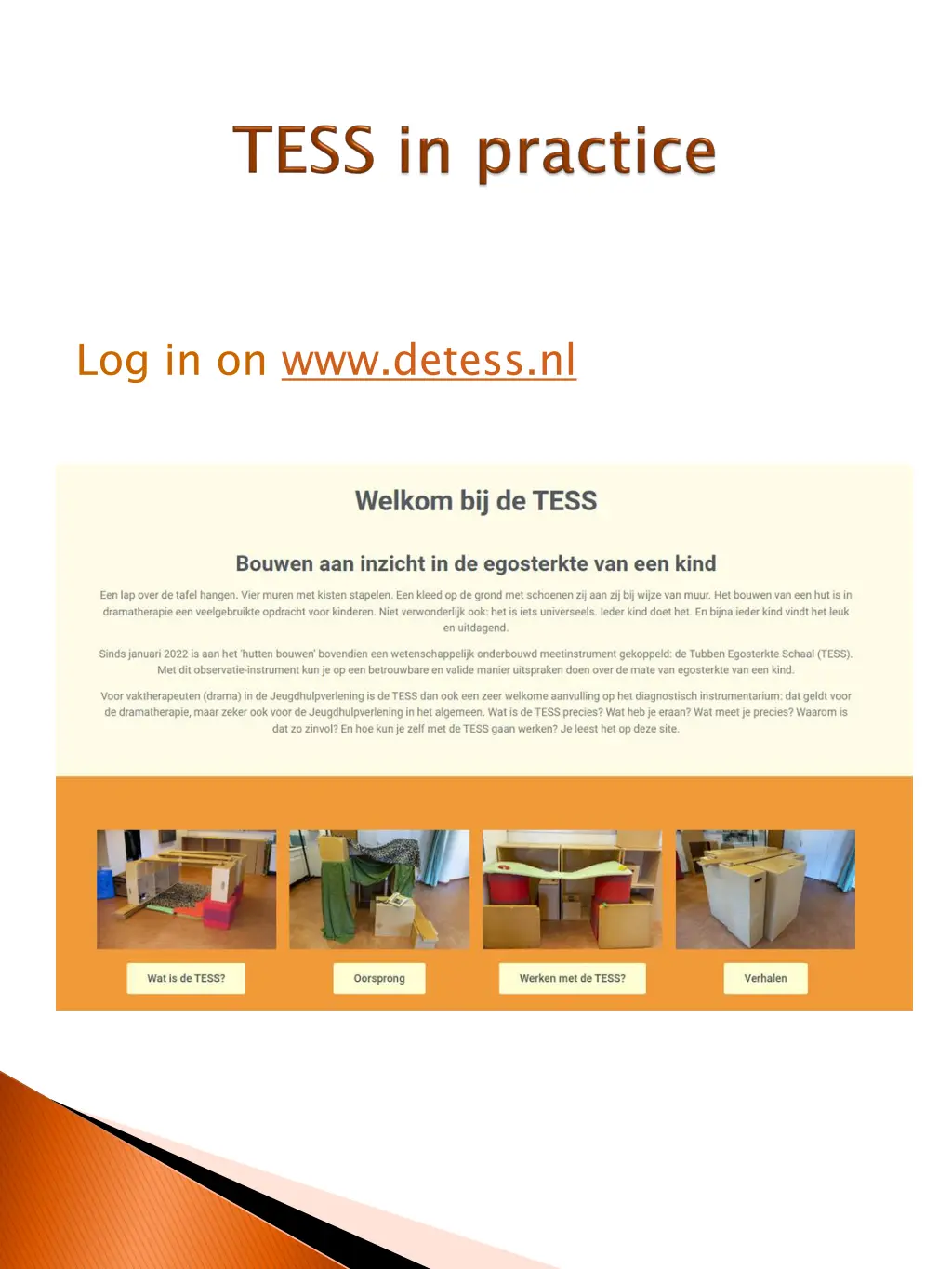 log in on www detess nl