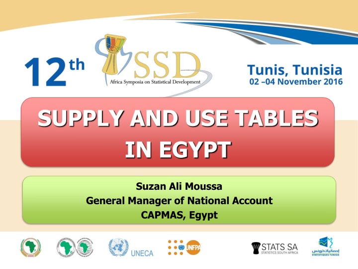supply and use tables in egypt