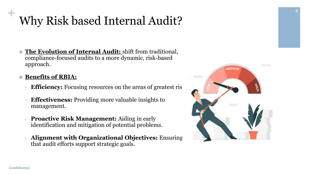 why risk based internal audit
