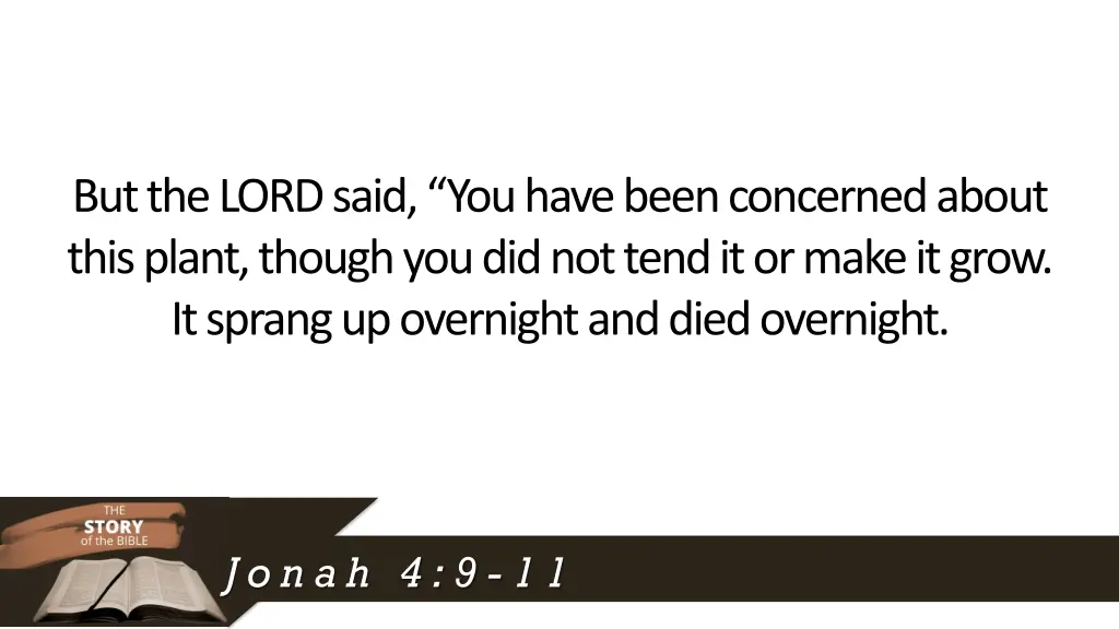 but the lord said you have been concerned about