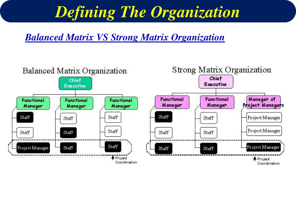 defining the organization 6