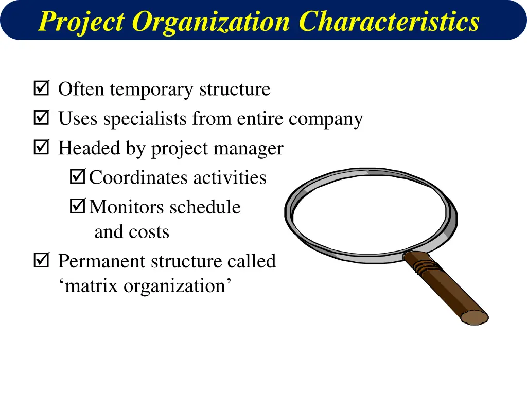 project organization characteristics