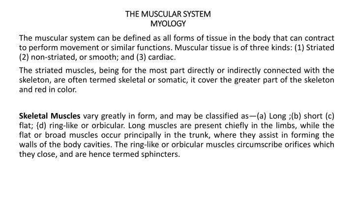 the muscular system the muscular system myology