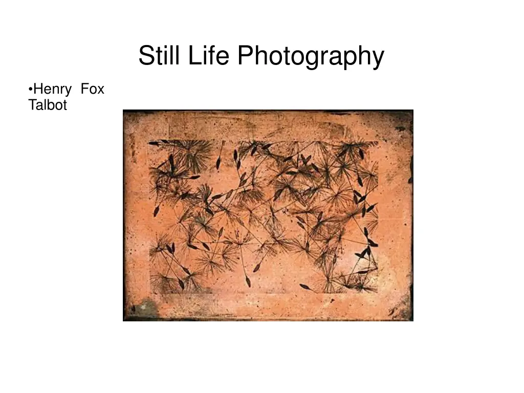 still life photography 10