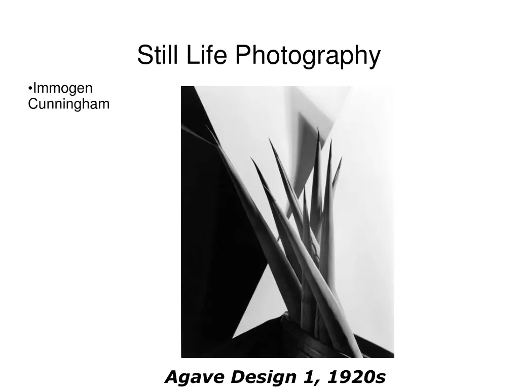 still life photography 11