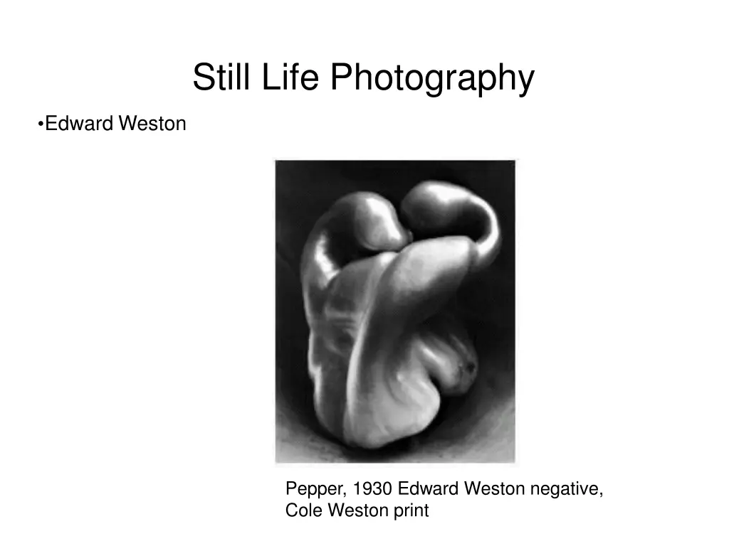still life photography 18