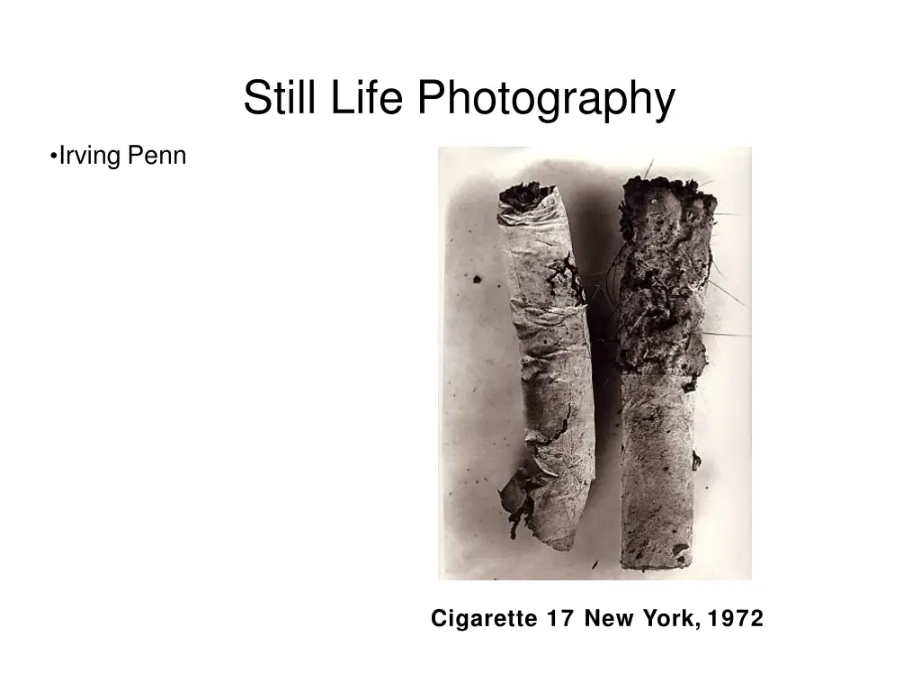 still life photography 24