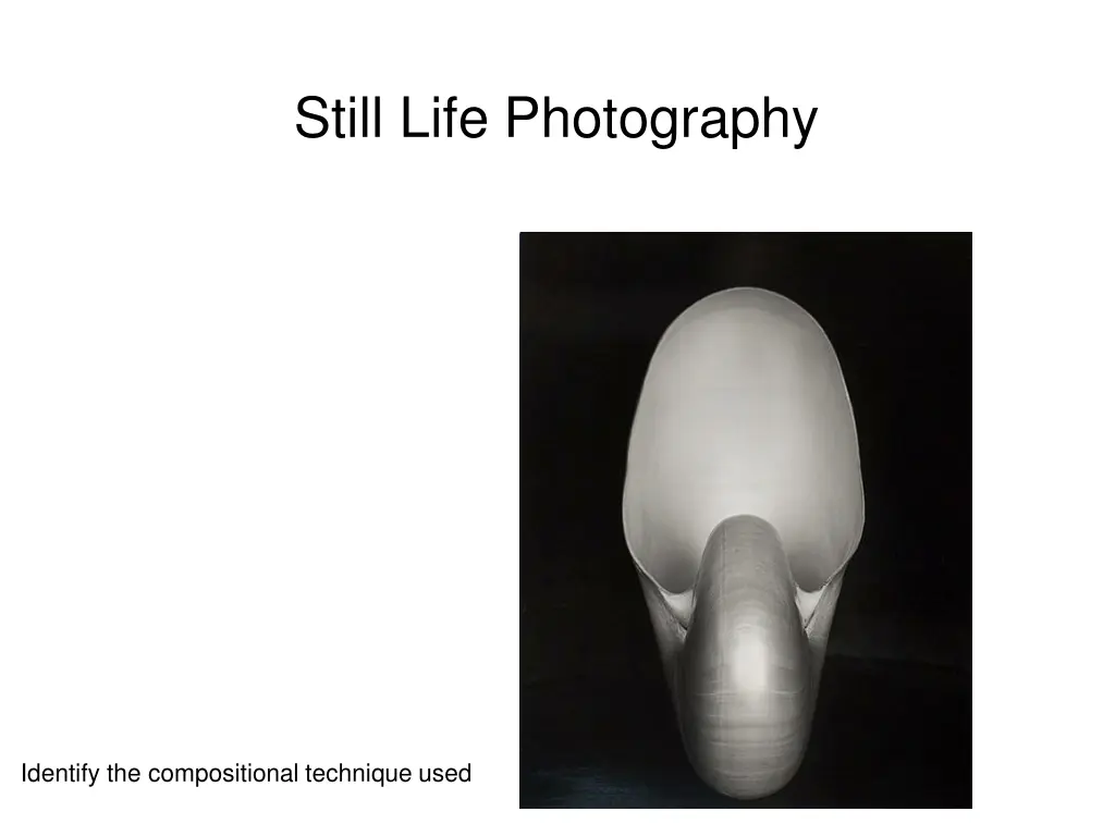 still life photography 7