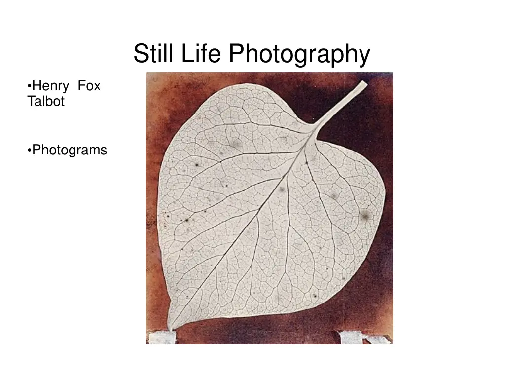 still life photography 9