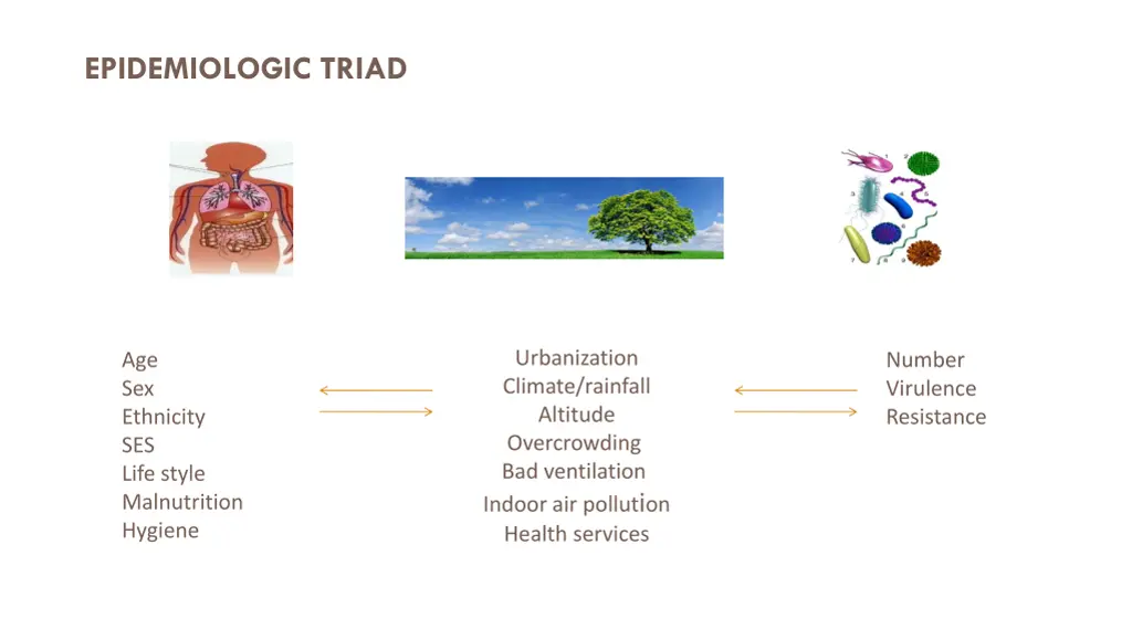 epidemiologic triad 1