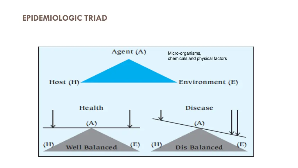 epidemiologic triad