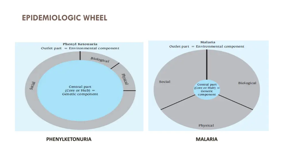 epidemiologic wheel 2