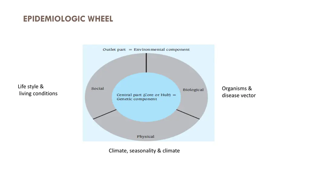 epidemiologic wheel