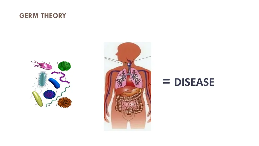 germ theory