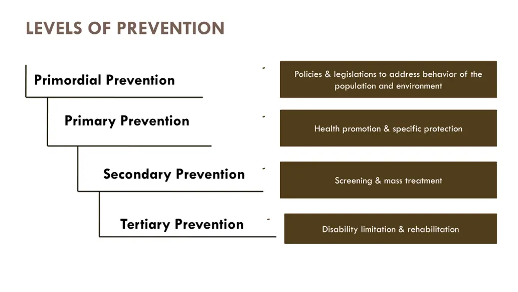 levels of prevention 1