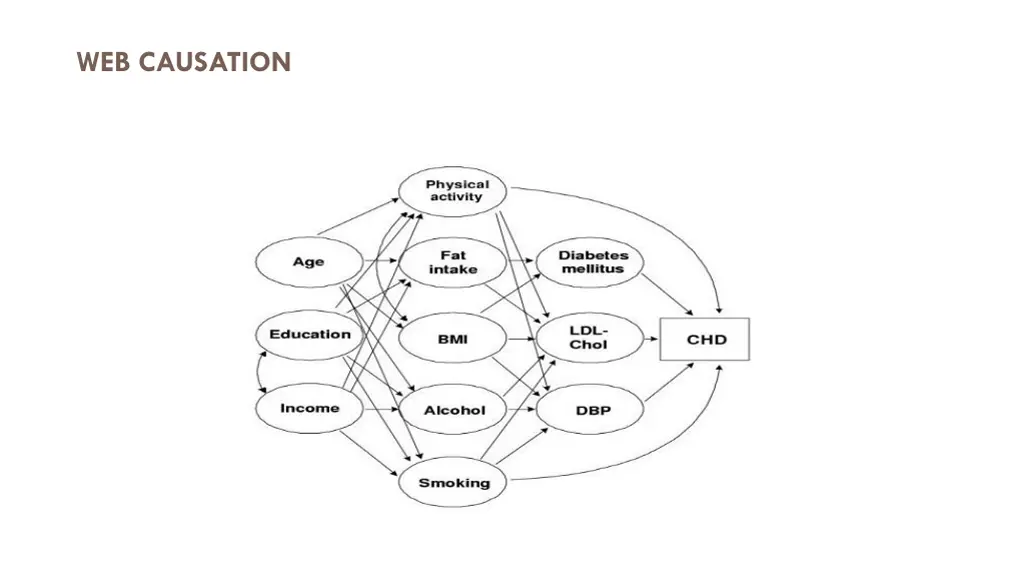 web causation 1