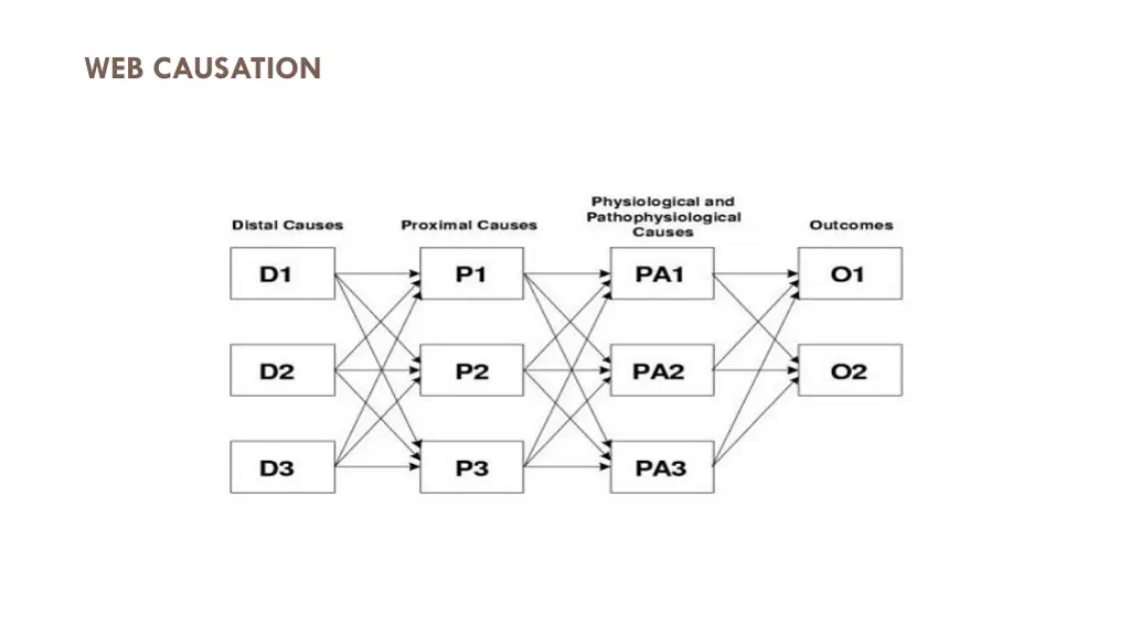 web causation