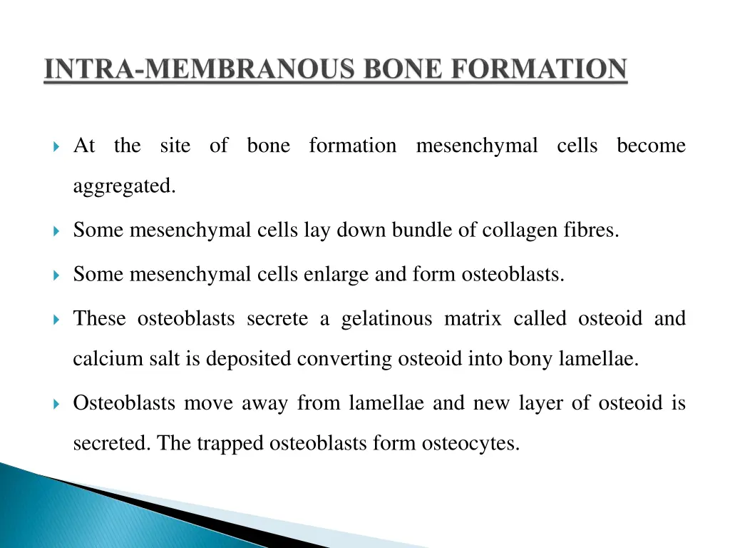 at the site of bone formation mesenchymal cells