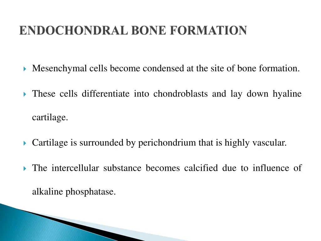 mesenchymal cells become condensed at the site