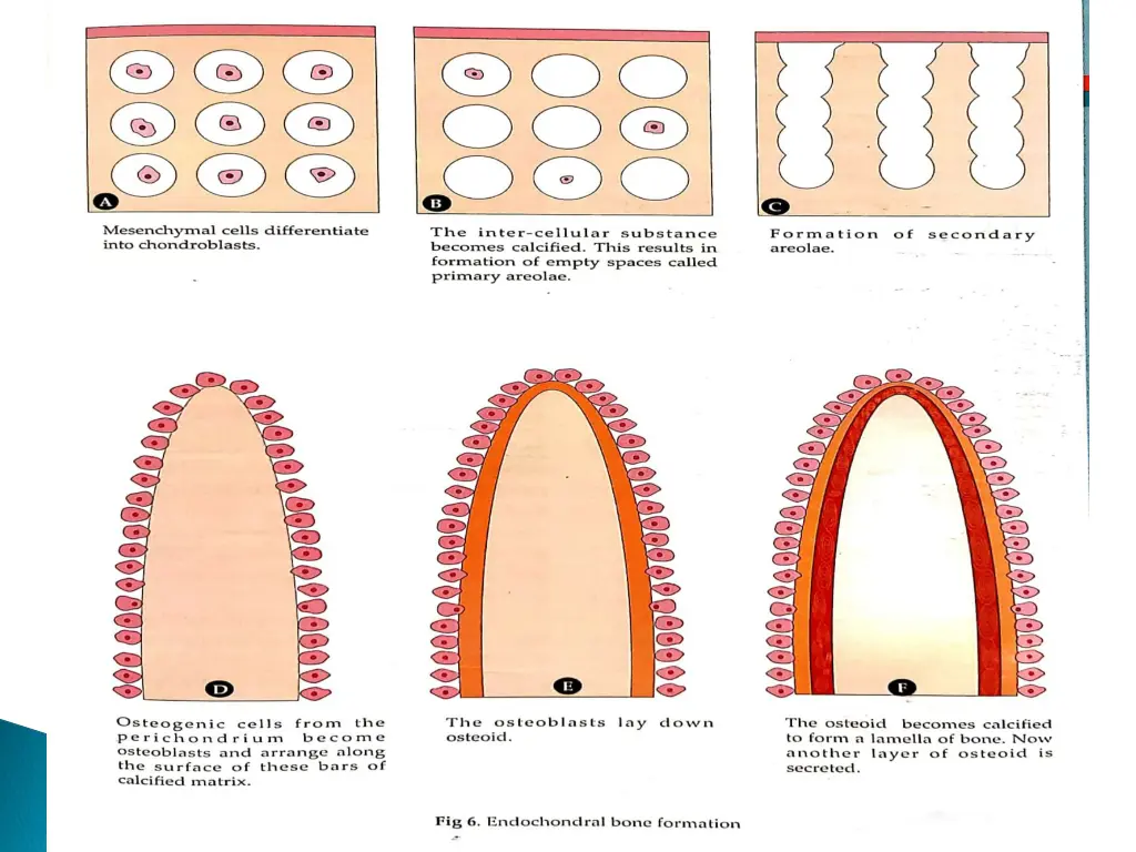 slide28