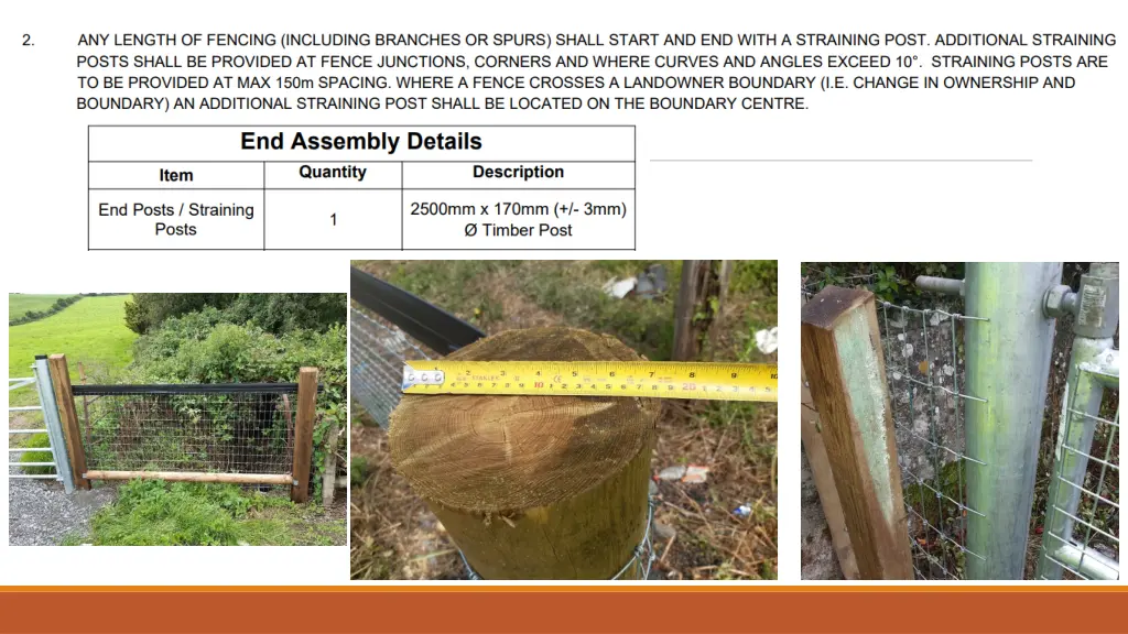 slide11