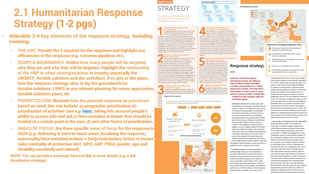 2 1 humanitarian response strategy 1 2 pgs