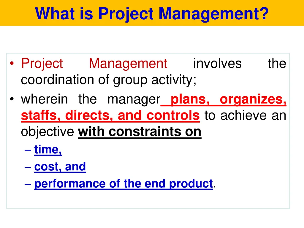 what is project management