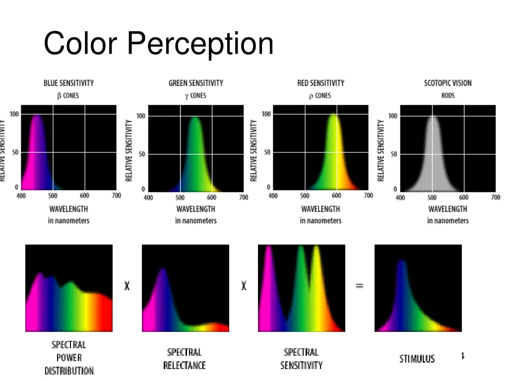 color perception