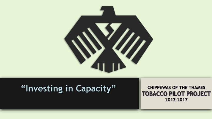 investing in capacity