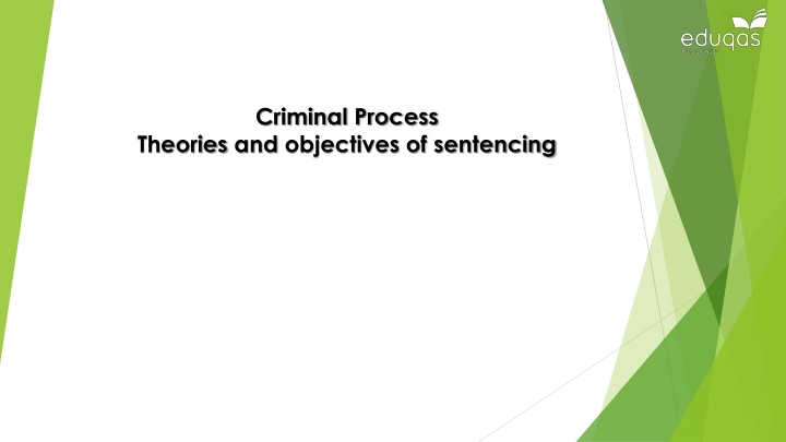 criminal process