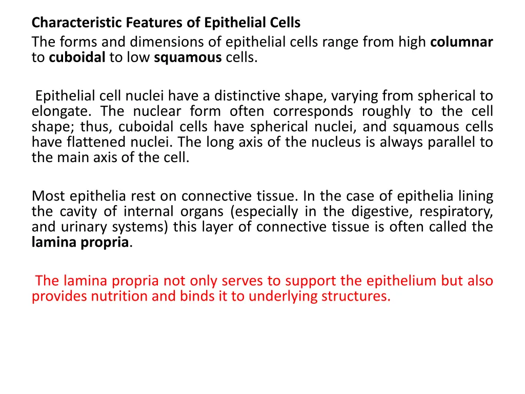 characteristic features of epithelial cells