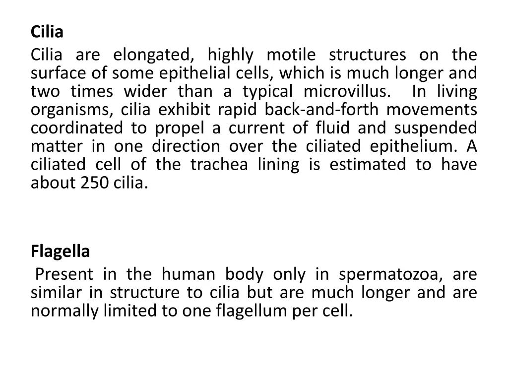 cilia cilia are elongated highly motile