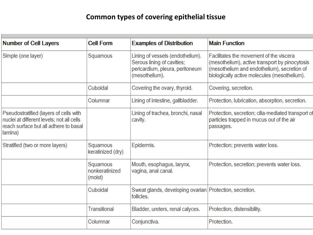 common types of covering epithelial tissue