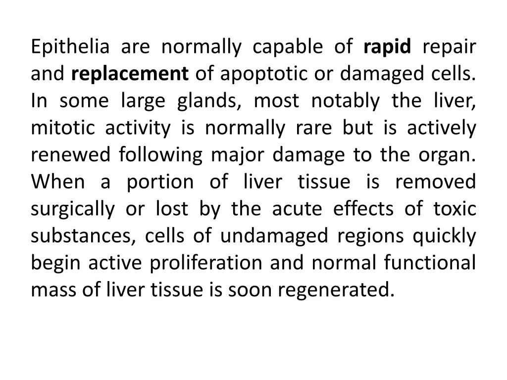 epithelia are normally capable of rapid repair