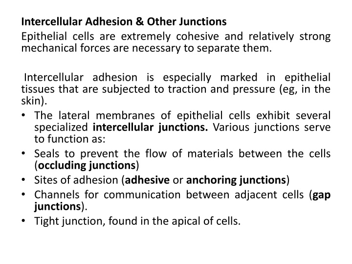 intercellular adhesion other junctions epithelial