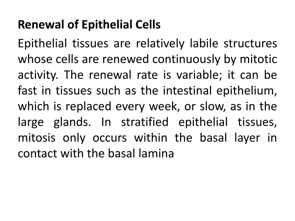 renewal of epithelial cells epithelial tissues