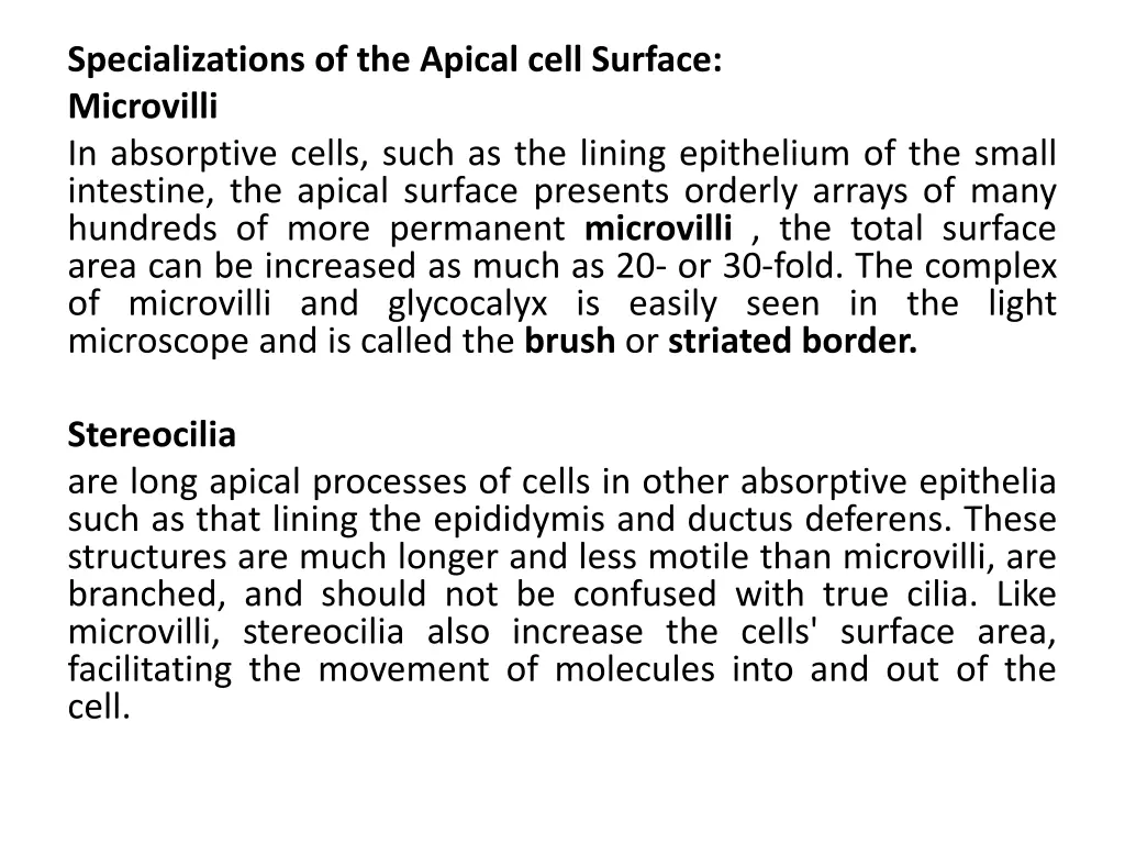 specializations of the apical cell surface